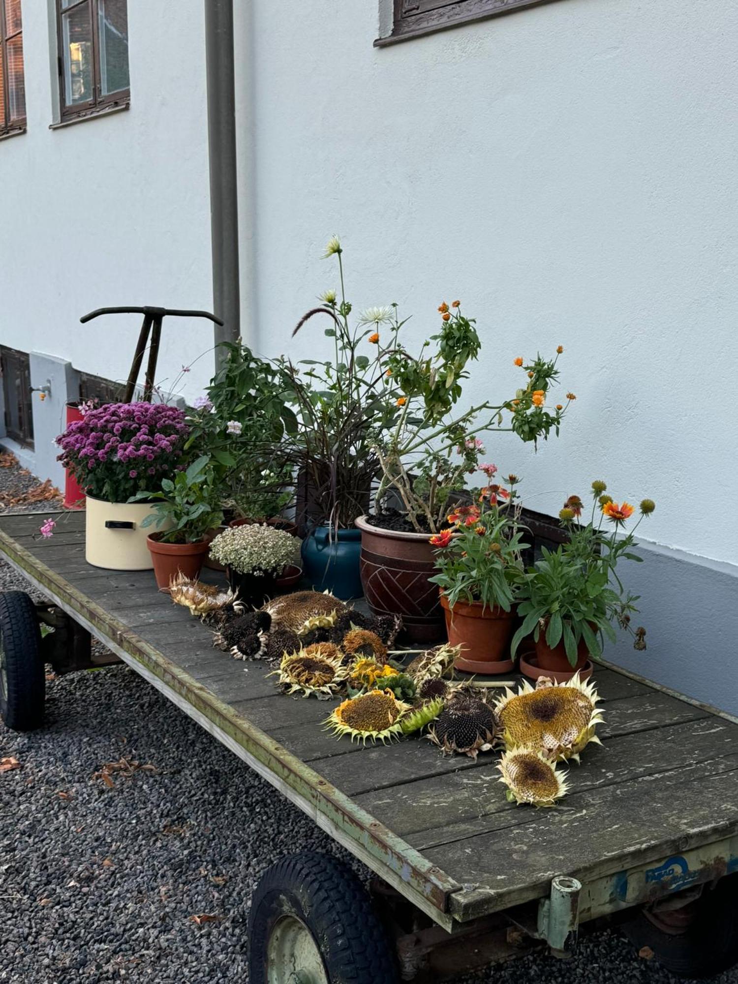 Stf Landskrona Hostel Bagian luar foto